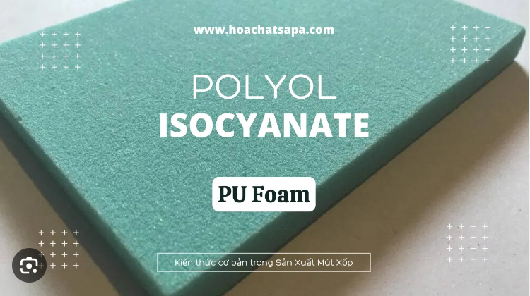 Doanh nghiệp Ai Cập tìm kiếm nguồn cung Polyol nguyên liệu để sản xuất bọt xốp