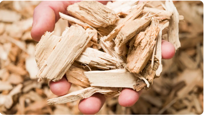 Doanh nghiệp Trung Quốc tìm nhà cung cấp sản phẩm dăm gỗ