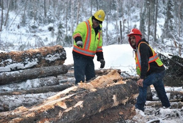 Tiềm năng xuất khẩu đồ gỗ và một số lưu ý khi xuất khẩu vào Canada