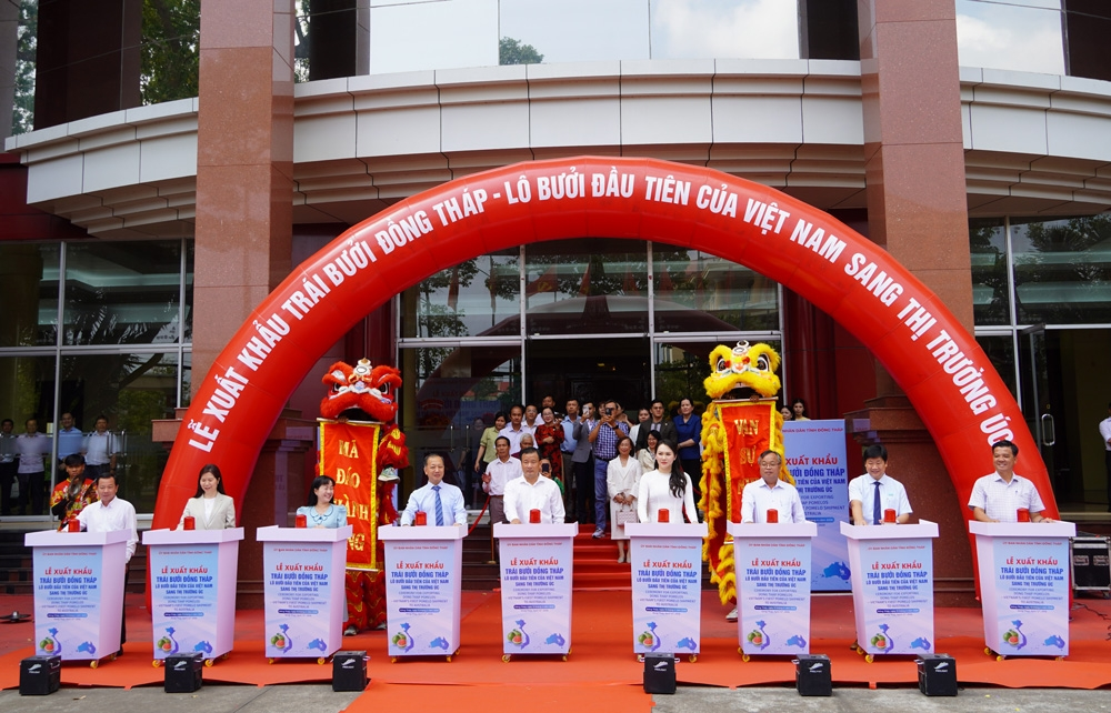 Bưởi Việt lần đầu vào Australia: Mở ra cơ hội cho nông sản xuất khẩu