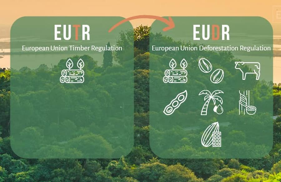 EU hoãn áp dụng quy định về phá rừng (EUDR) đến cuối năm 2026